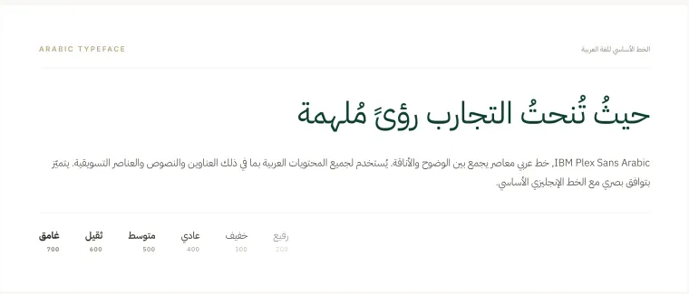 الخط العربي في هوية فيستا يونايتد